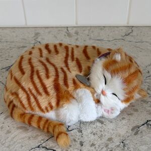 Perfect Petzzz Cat 🐈